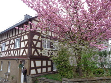 Haus zum Kauf 196.000 € 3 Zimmer 108 m² 176 m² Grundstück Rengsdorf 56579