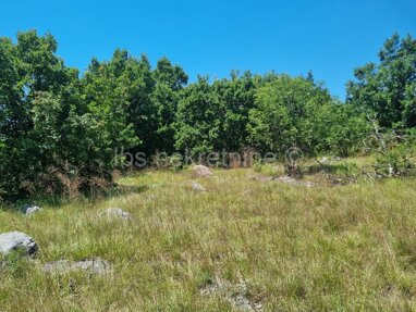 Land-/Forstwirtschaft zum Kauf 42.000 € Sicane