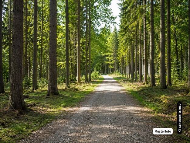 Land-/Forstwirtschaft zum Kauf provisionsfrei 1.762 € Wersten Stadtbezirk 9 00000