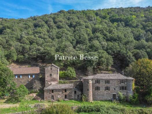 Schloss zum Kauf 590.000 € 9 Zimmer 330 m² 312.417 m² Grundstück Sainte-Croix-Vallée-Française 48110