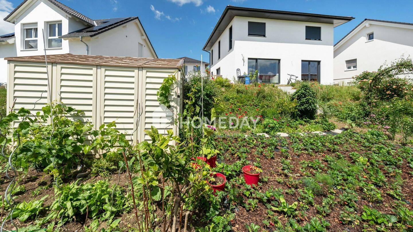 Einfamilienhaus zum Kauf - Erstbezug - Ansicht 4