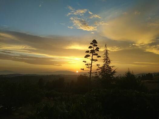 Wohnung zum Kauf 120.000 € 3 Zimmer 115 m² 1. Geschoss Arnea 63074