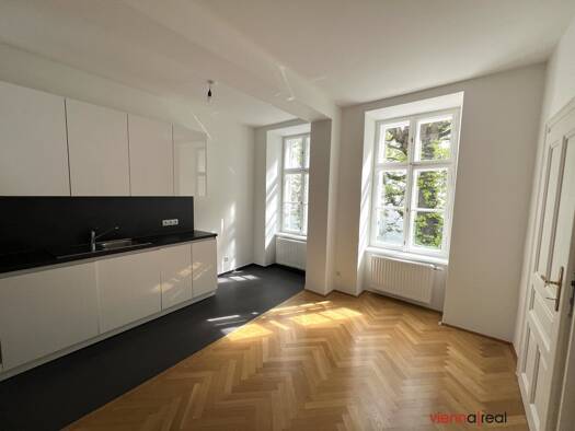 Wohnung zur Miete 879 € 1,5 Zimmer 56,7 m² 1. Geschoss Schlagergasse Wien 1090