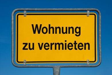 Wohnung zur Miete 205 € 1 Zimmer 36 m² EG Pfarrstraße 23 Treuen Treuen 08233