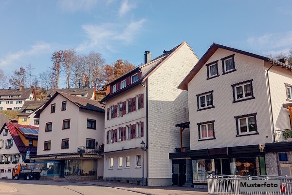 Mehrfamilienhaus zum Kauf 187.000 € 1 Zimmer 442 m²<br/>Wohnfläche 350 m²<br/>Grundstück Crimmitschau Crimmitschau 08451