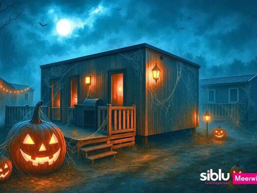 Einfamilienhaus zum Kauf provisionsfrei 46.320 € 4 Zimmer 40 m² 200 m² Grundstück Strandweg 2-40 Treysa Kropswolde 9606PR