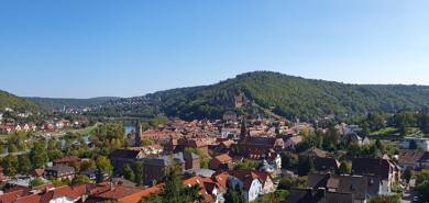 Wohnung zur Miete 950 € 2,5 Zimmer 99 m² 2. Geschoss Wertheim Wertheim 97877