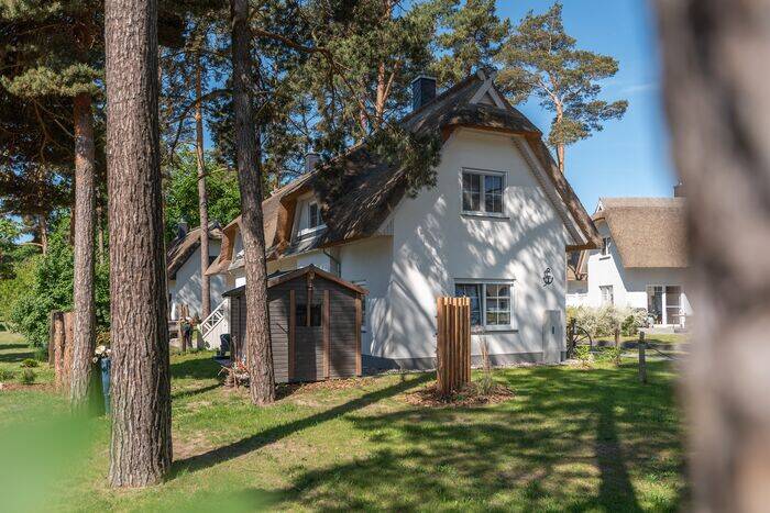 Immobilie in Zirchow - Doppelhaus: Urlaubsgenuß unter Reet auf Usedom - Bild 2