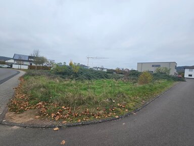 Grundstück zum Kauf 360.000 € 600 m² Grundstück Auf Arthof 1 Schweich Schweich 54338