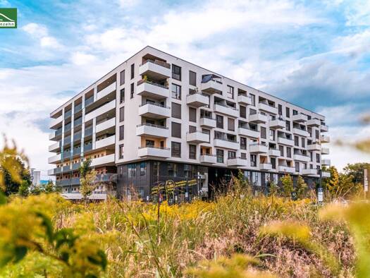 Wohnung zur Miete 580 € 2 Zimmer 48,5 m² 5. Geschoss frei ab 01.09.2026 Reininghausstraße 10 Eggenberg Graz 8020
