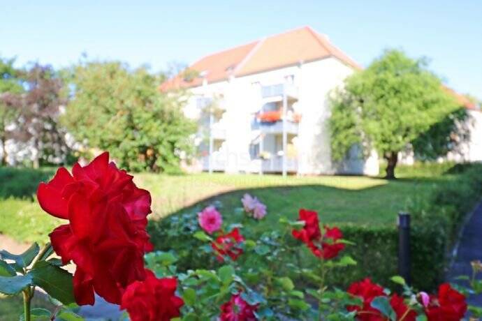 Property thumbnail 3