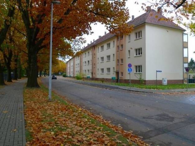 Wohnung zur Miete 234 € 2 Zimmer 39 m² Ringstraße 29 Forst-Stadt Forst (Lausitz) 03149