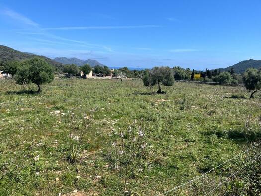 Grundstück zum Kauf 430.000 € 14.243 m² Grundstück Son Servera 07550