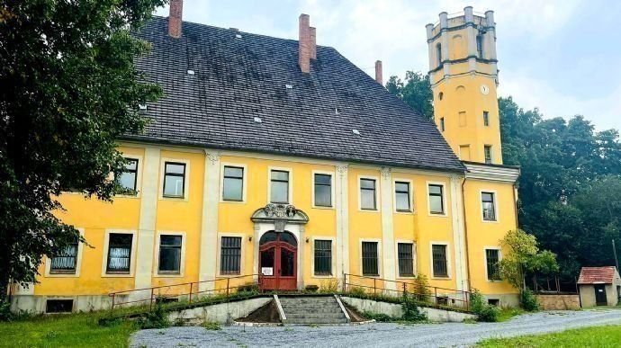 Schloss zum Kauf 950.000 € 20 Zimmer 485 m²<br/>Wohnfläche 4.400 m²<br/>Grundstück ab sofort<br/>Verfügbarkeit Spree Hähnichen 02923