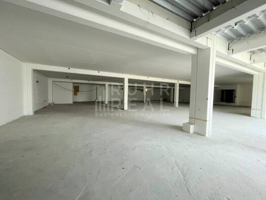 Lagerhalle zur Miete 1.300 m² Lagerfläche teilbar ab 1.300 m² Tiefenbroich Ratingen 40880