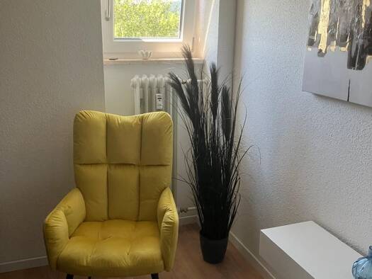 Wohnung zur Miete 450 € 1,5 Zimmer 58 m² Haidmühle 94145