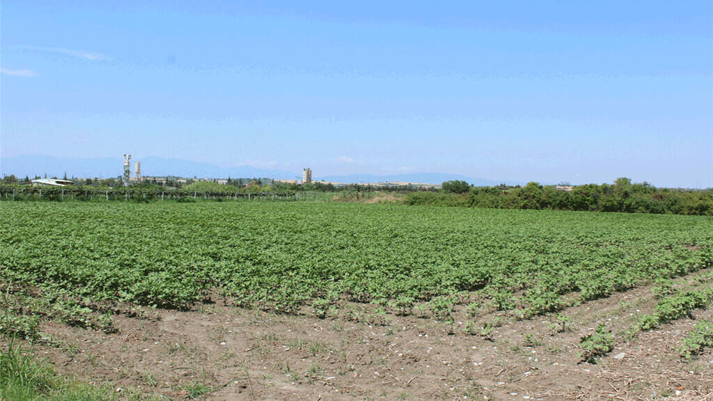 Land-/Forstwirtschaft zum Kauf 80.000 € 11.300 m² Grundstück Olympische Riviera