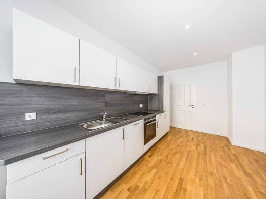 Wohnung zur Miete 645 € 2 Zimmer 50 m² EG Mariannenstraße 83 Volkmarsdorf Leipzig 04315