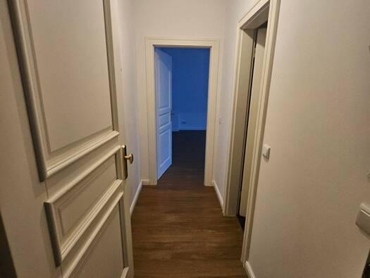 Studio zur Miete 560 € 1 Zimmer 41 m² 1. Geschoss frei ab sofort Winckelmannstraße 43 Johannisthal Berlin 12487