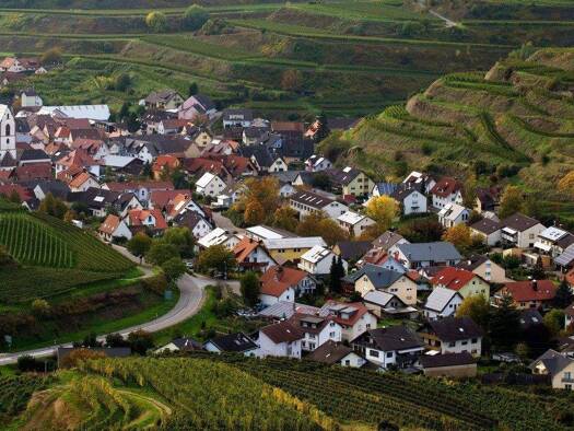 Grundstück zum Kauf 249.000 € 691 m² Grundstück Oberbergen Vogtsburg i.K. 79235