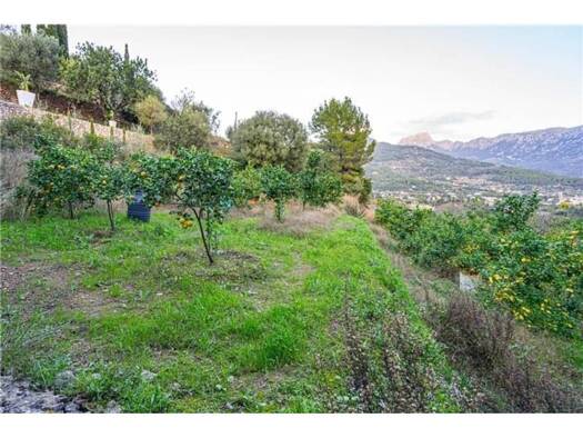 Acker-/Waldstück zum Kauf 150.000 € Sóller 07100