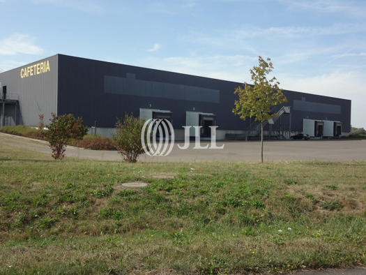 Lagerhalle zur Miete provisionsfrei 12.675,6 m² Lagerfläche Schkeuditz 04435