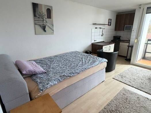 Studio zur Miete auf Zeit 750 € 1 Zimmer 30 m² frei ab 01.08.2026 Tullnau Nürnberg 90402