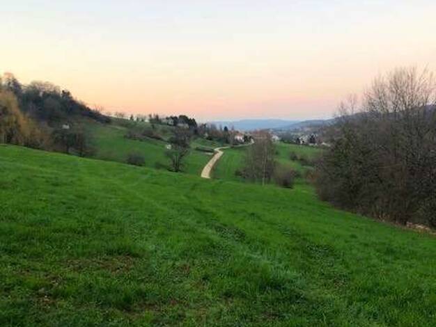 Grundstück zum Kauf provisionsfrei 1.000.000 € 1.458 m² Grundstück Wittnau 79299