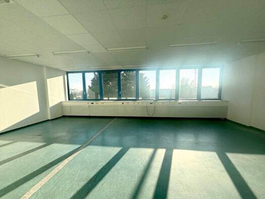 Büro zur Miete provisionsfrei 9,39 € 2 Zimmer 74,5 m² Bürofläche Wiener Neudorf 2351