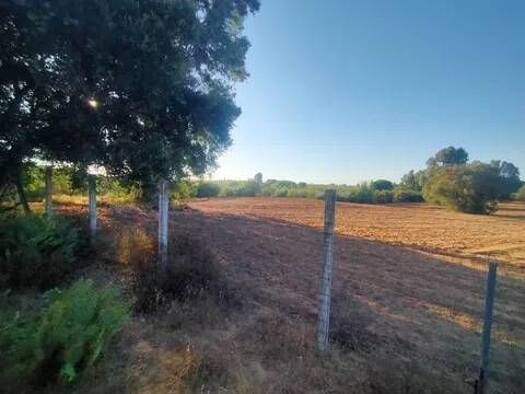 Grundstück zum Kauf 150.000 € Vereda De Los Labrados S/N Villamanrique de la Condesa 41850