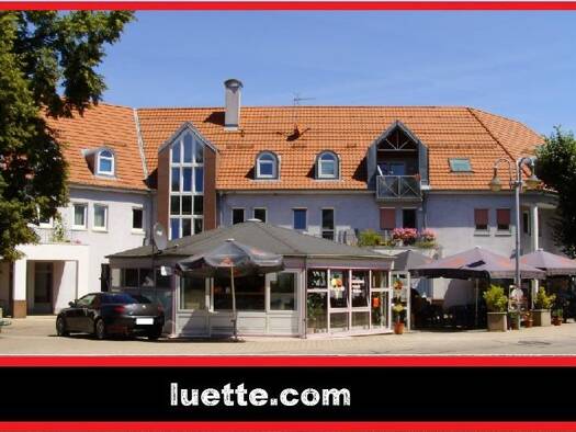 Mehrfamilienhaus zum Kauf 3.600.000 € 17 Zimmer 545 m² 2.950 m² Grundstück Schliengen Schliengen 79418