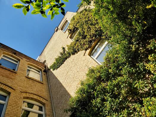 Wohnung zur Miete 579 € 2,5 Zimmer 60 m² 3. Geschoss frei ab sofort Brüderstraße 13 Altstadt Halle (Saale) 06108