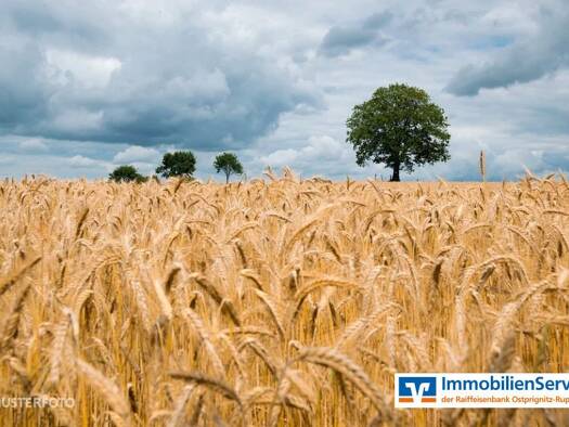 Gewerbegrundstück zum Kauf 116.130 € 70.152 m² Grundstück Neuruppin 16816