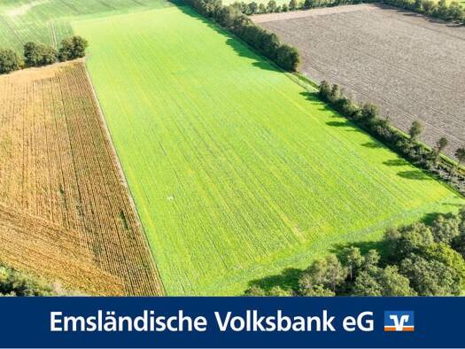 Land-/Forstwirtschaft zum Kauf 58.394 m² Grundstück Klosterholte Haselünne 49740