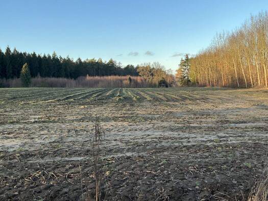 Landwirtschaftliche Fläche zum Kauf 358.000 € 29.917 m² Grundstück Döthen Eggermühlen 49577