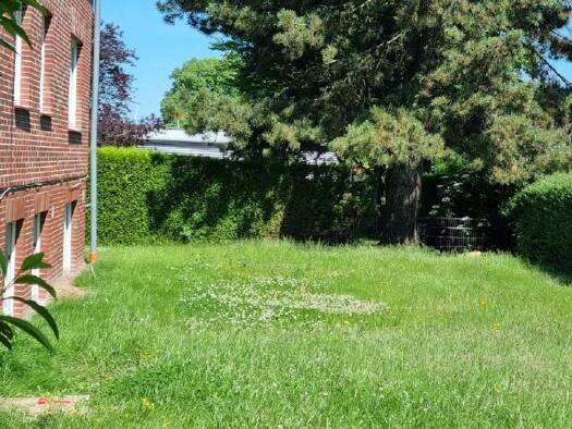 Mehrfamilienhaus zum Kauf 755.000 € 15 Zimmer 318 m² 842 m² Grundstück Harsefeld Harsefeld 21698