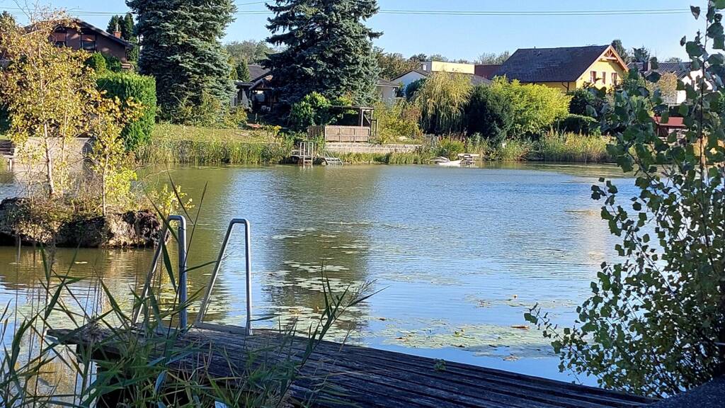 Haus zum Kauf 79.000 € 49 m² 965 m² Grundstück Steinbrunn 7035