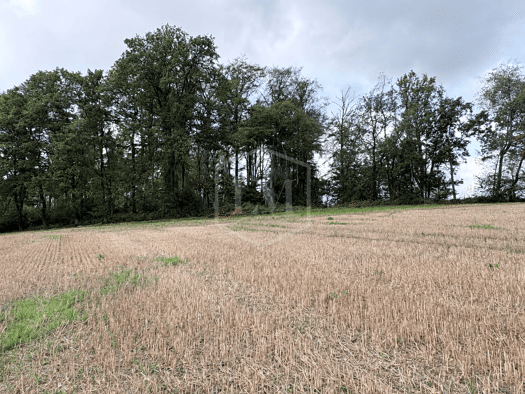 Forstwirtschaft zum Kauf 105.000 € 39.823 m² Grundstück Mitte Velbert 42551