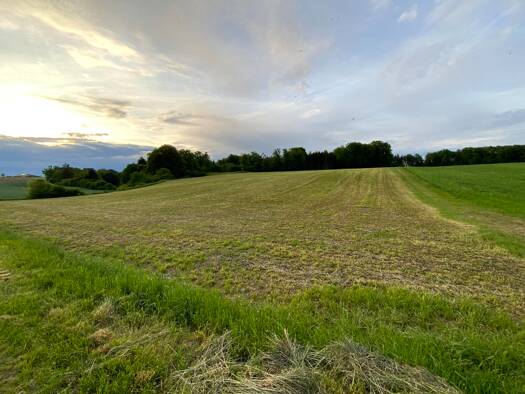 Landwirtschaftliche Fläche zum Kauf 290.000 € 28.984 m² Grundstück Kipfenberg Kipfenberg 85110