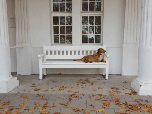 Lagerhalle zum Kauf 220.000 € 700 m² Lagerfläche Rünthe Bergkamen 59192