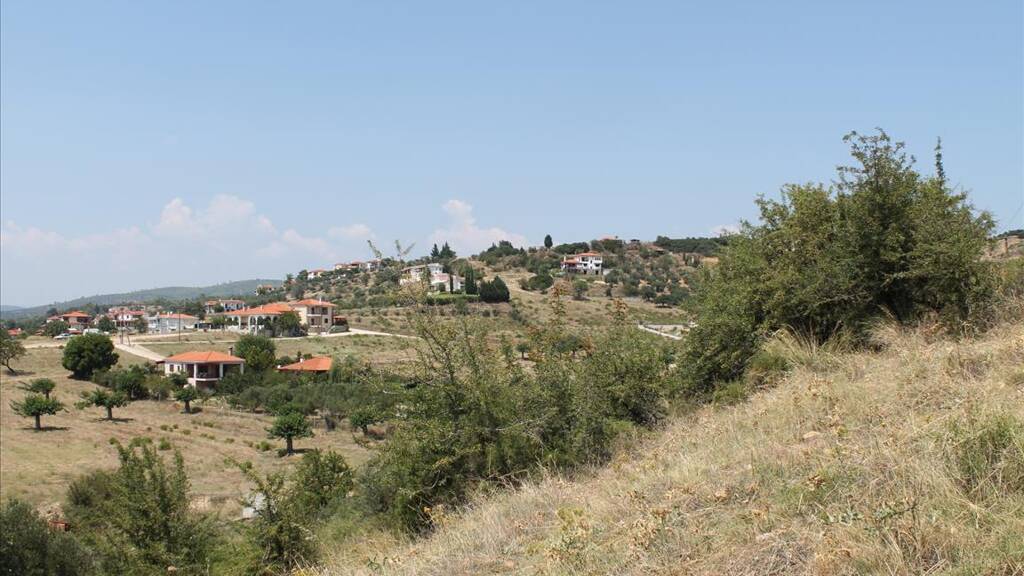 Land-/Forstwirtschaft zum Kauf 250.000 € 8.000 m² Grundstück Chalkidiki