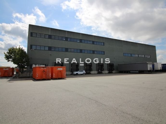 Halle/Industriefläche zur Miete 2.500 m²<br/>Lagerfläche ab 1.250 m²<br/>Teilbarkeit Gernsheim Gernsheim 64579