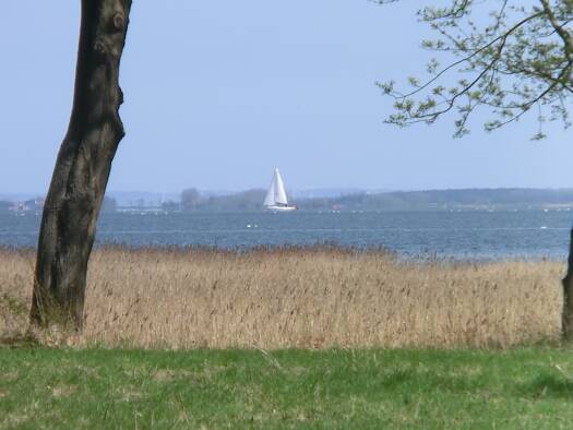 Grundstück zum Kauf provisionsfrei 950 m² Grundstück Klausdorf 18445