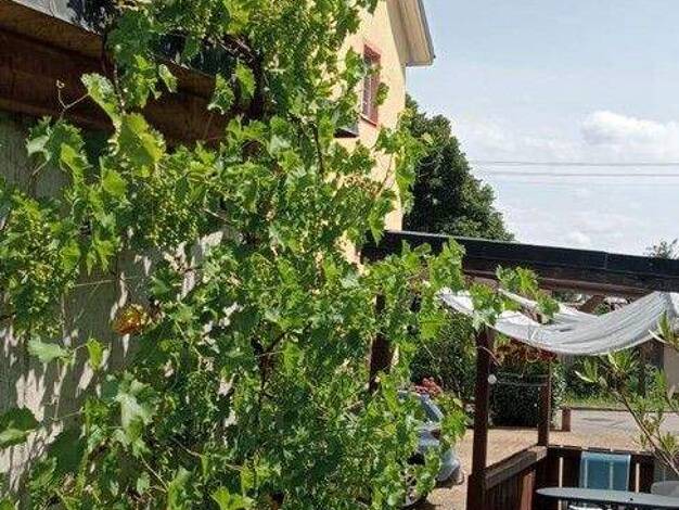 Wohnung zum Kauf provisionsfrei 360.000 € 4 Zimmer 100 m² 1. Geschoss Berau Ühlingen Birkendorf 79777