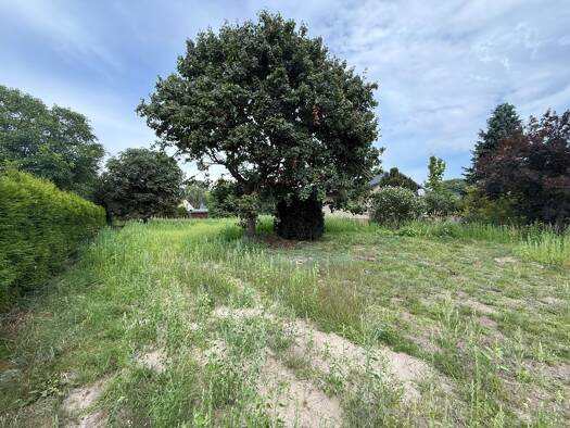 Grundstück zum Kauf 340.000 € 1.134 m² Grundstück Freiligrathstraße 24 Fredersdorf-Süd Fredersdorf-Vogelsdorf 15370