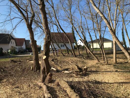 Grundstück zum Kauf provisionsfrei als Kapitalanlage geeignet 49.000 € 722 m² Grundstück Im Wiesengrunde 2 Taucha Hohenmölsen 06679