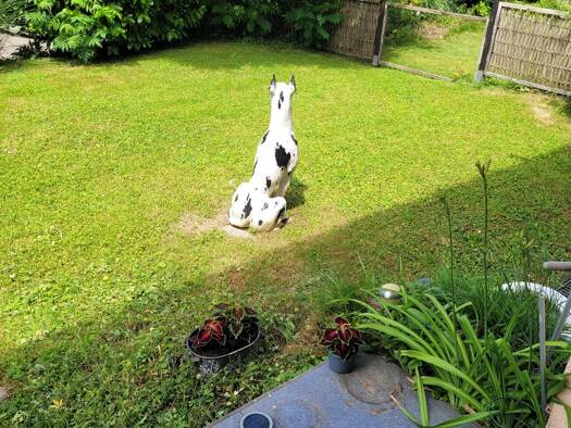 Terrassenwohnung zum Kauf provisionsfrei 150.000 € 1 Zimmer 37 m² Geschoss EG/2 Bad Bellingen 79415