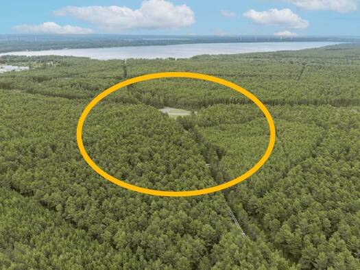 Grundstück zur Versteigerung 99.252 m² Grundstück Bröthen-Michalken Hoyerswerda 02977