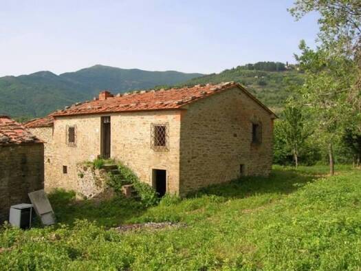 Bauernhaus zum Kauf 350 m² 20.000 m² Grundstück Bucine