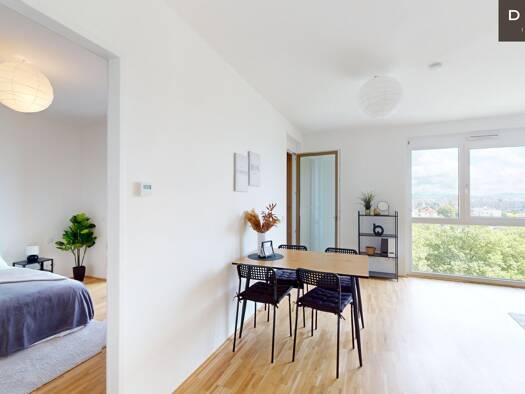 Wohnung zur Miete 573 € 2 Zimmer 49 m² 1. Geschoss Lend Graz 8020
